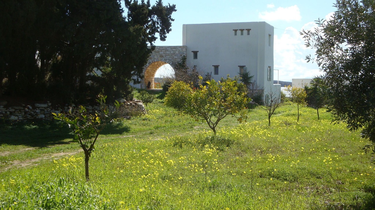 Photo of Outdoor in Drios