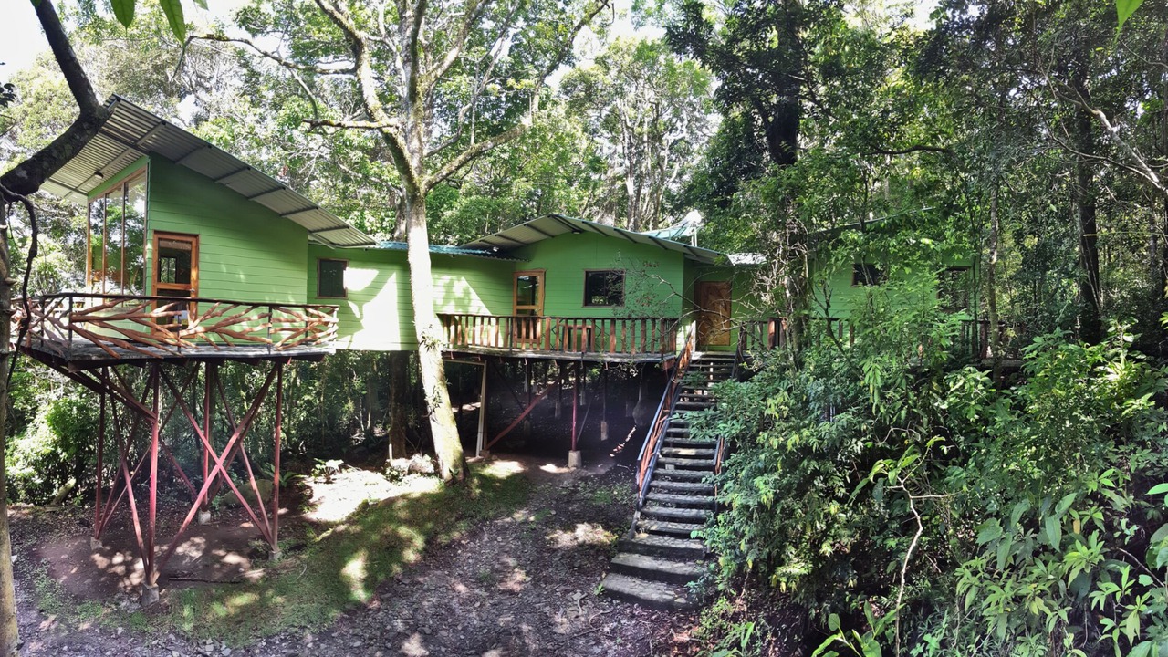 Photo of Others in Monteverde