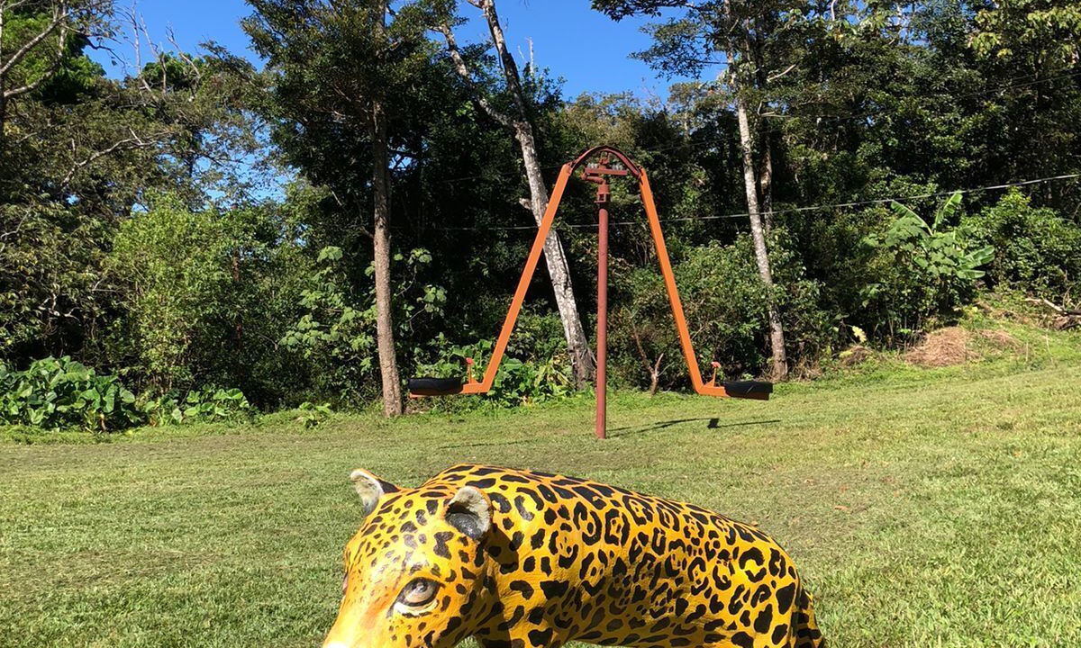 Photo of Others in Monteverde