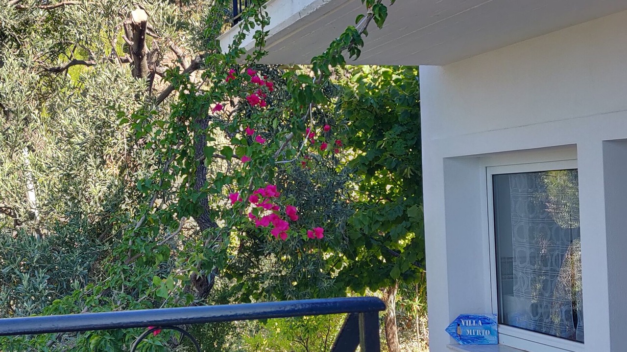 Photo of Patio Balcony in Stafylos