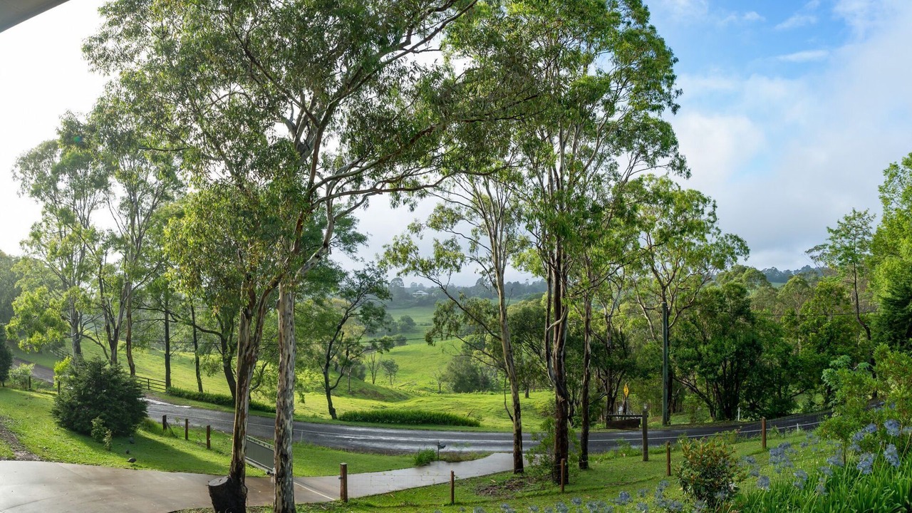 Photo of Outdoor in North Maleny