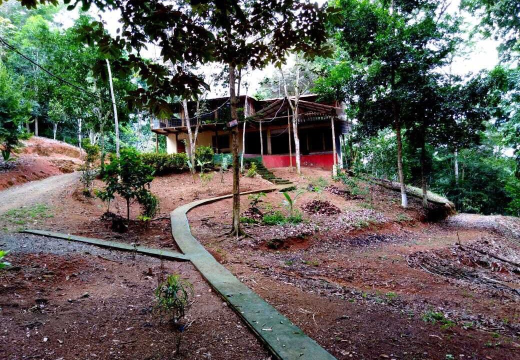 Photo of Outdoor in Platanillo