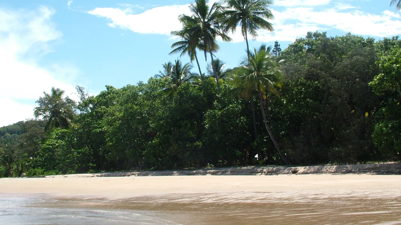 Photo of Others in Wonga Beach