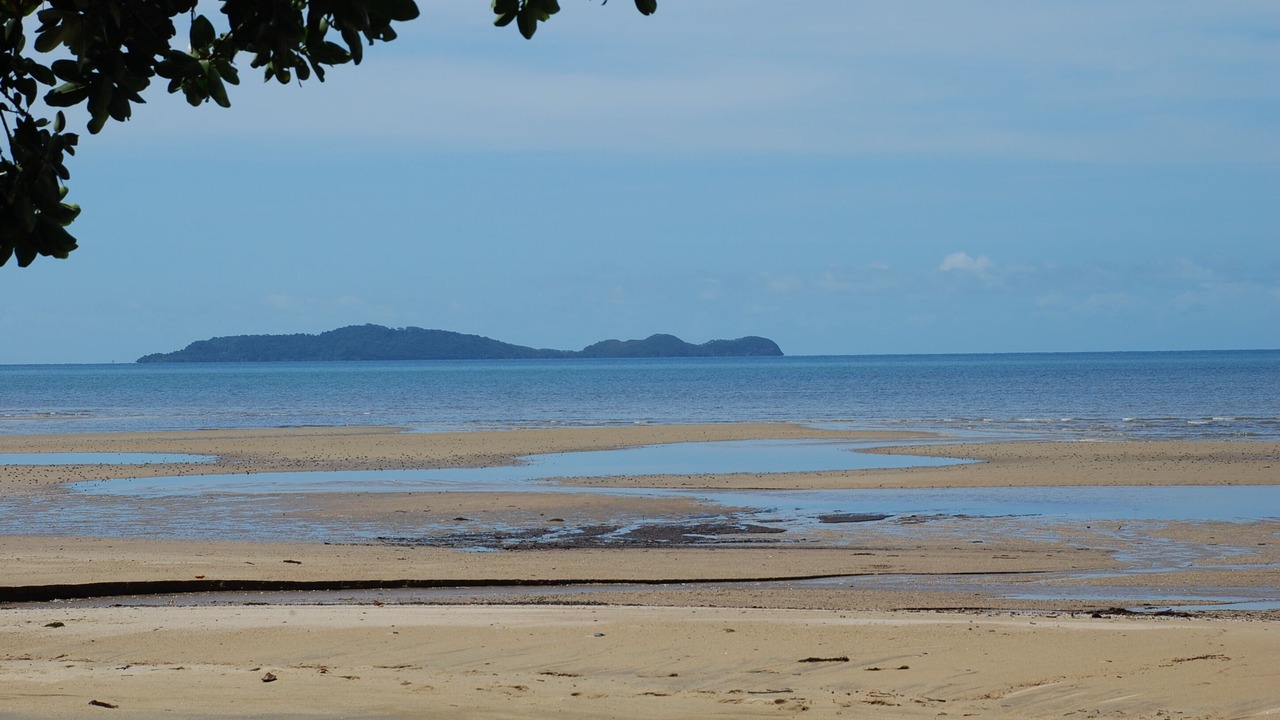 Photo of Others in Wonga Beach