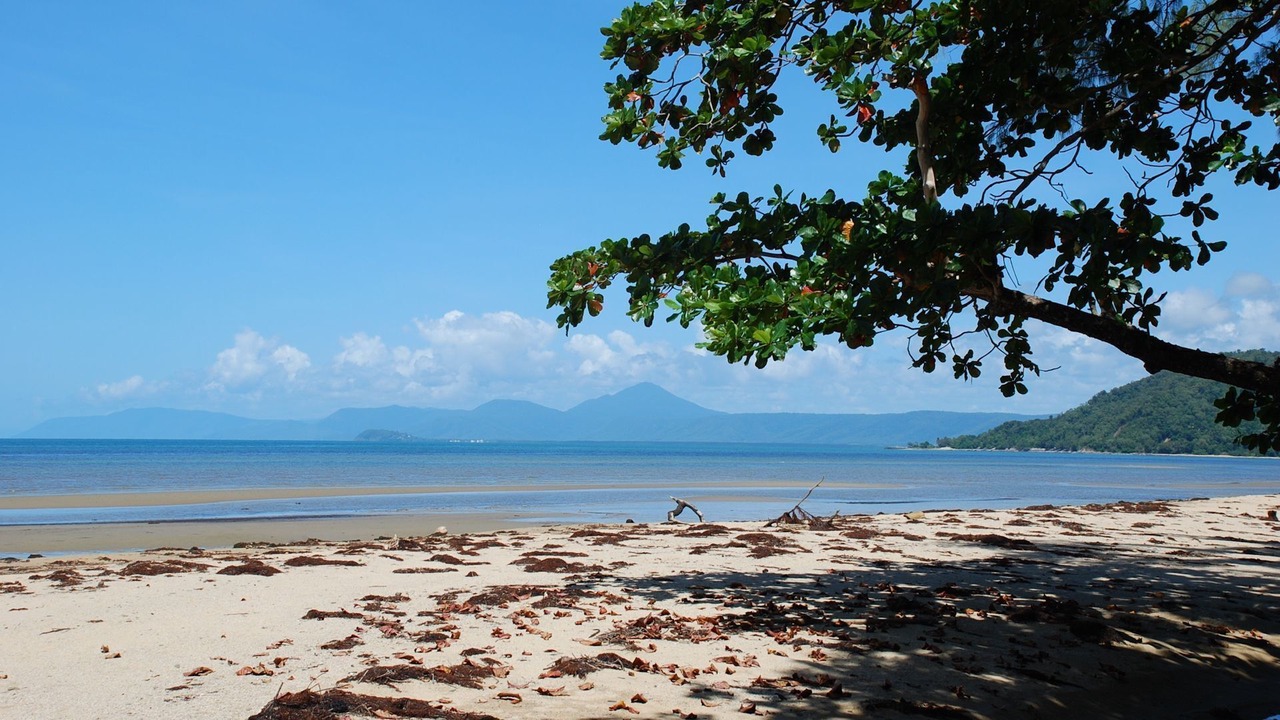 Photo of Others in Wonga Beach