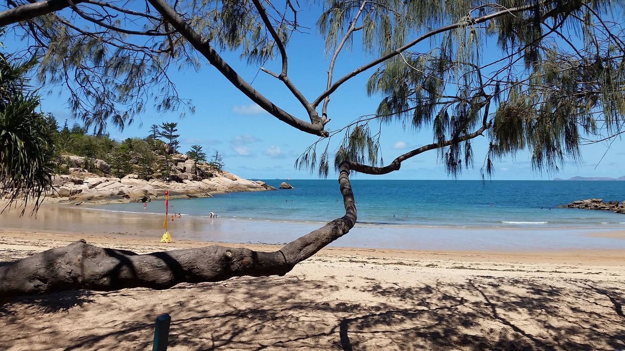 Photo of Others in Nelly Bay
