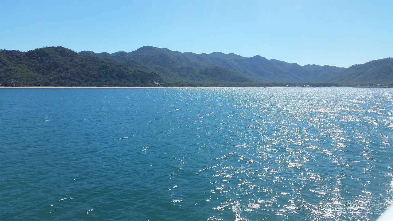 Photo of Others in Nelly Bay