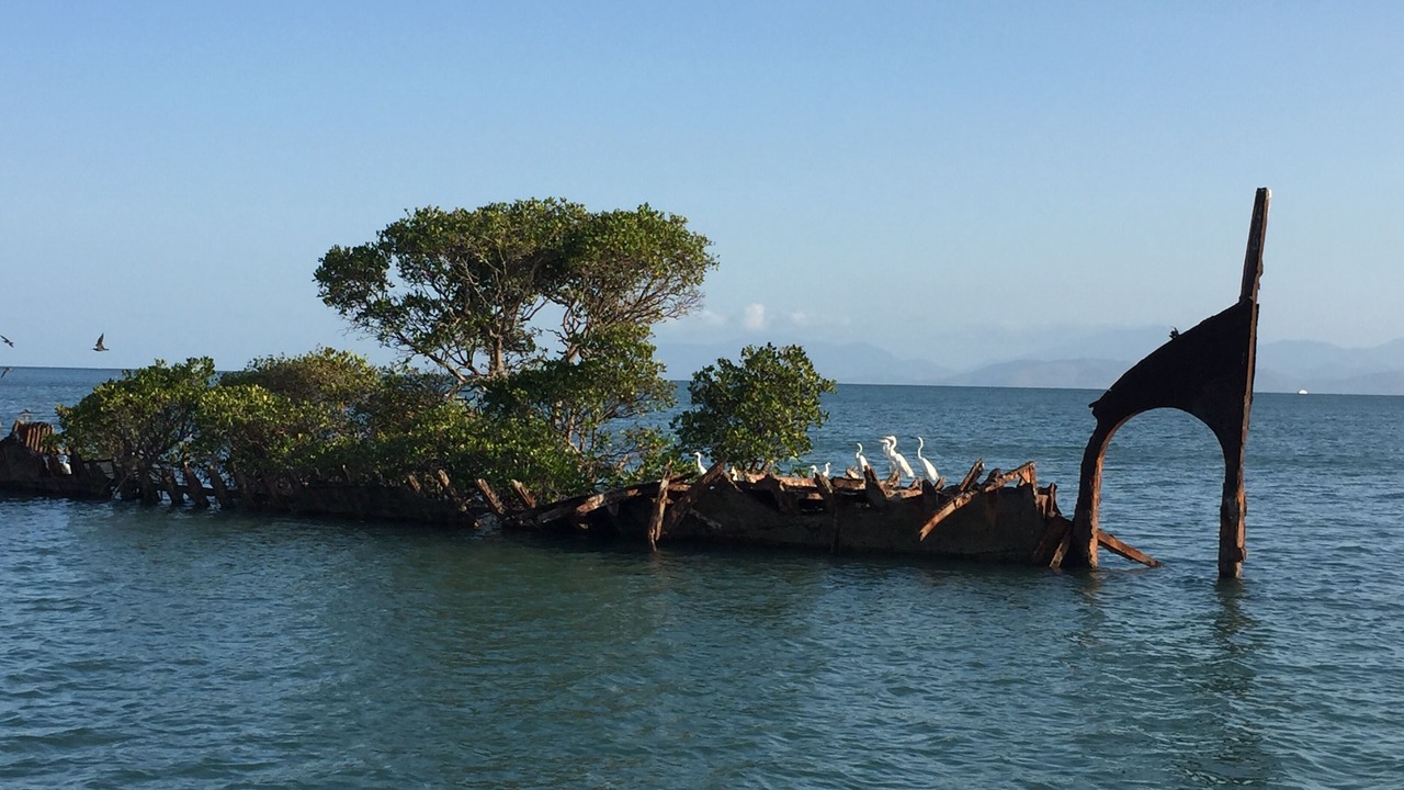 Photo of Others in Nelly Bay