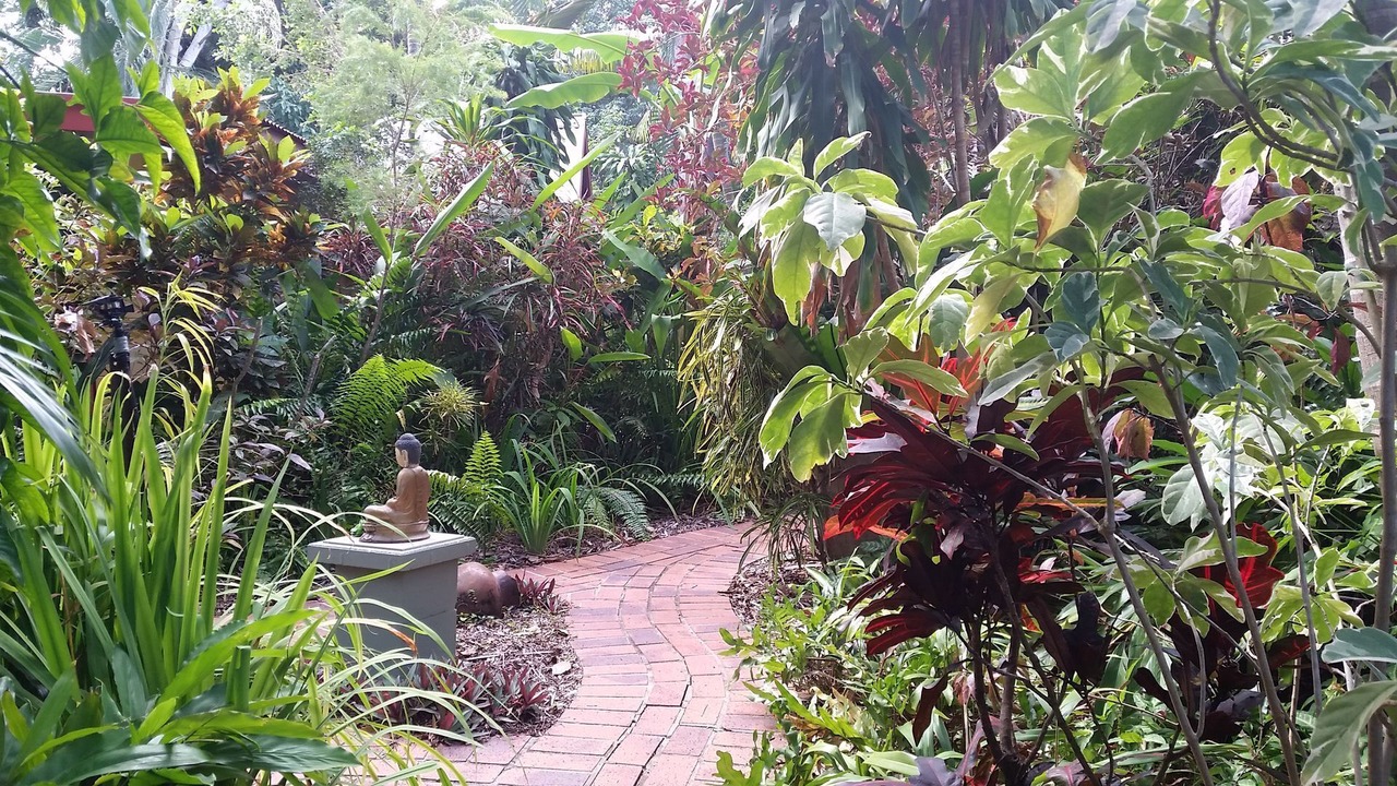 Photo of Outdoor in Nelly Bay