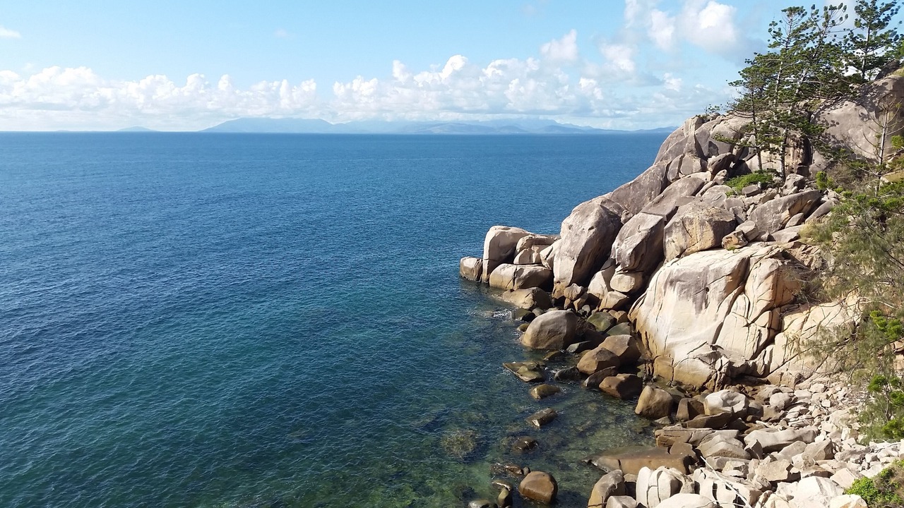 Photo of Others in Nelly Bay