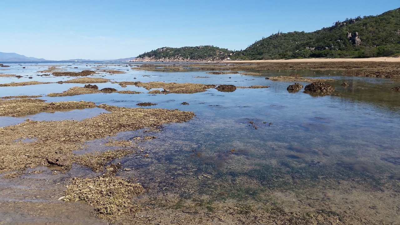 Photo of Others in Nelly Bay