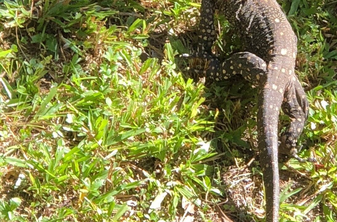 Photo of Others in Rocky Point