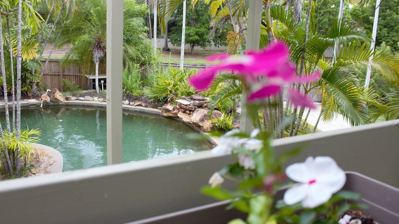 Photo of Outdoor in Port Douglas