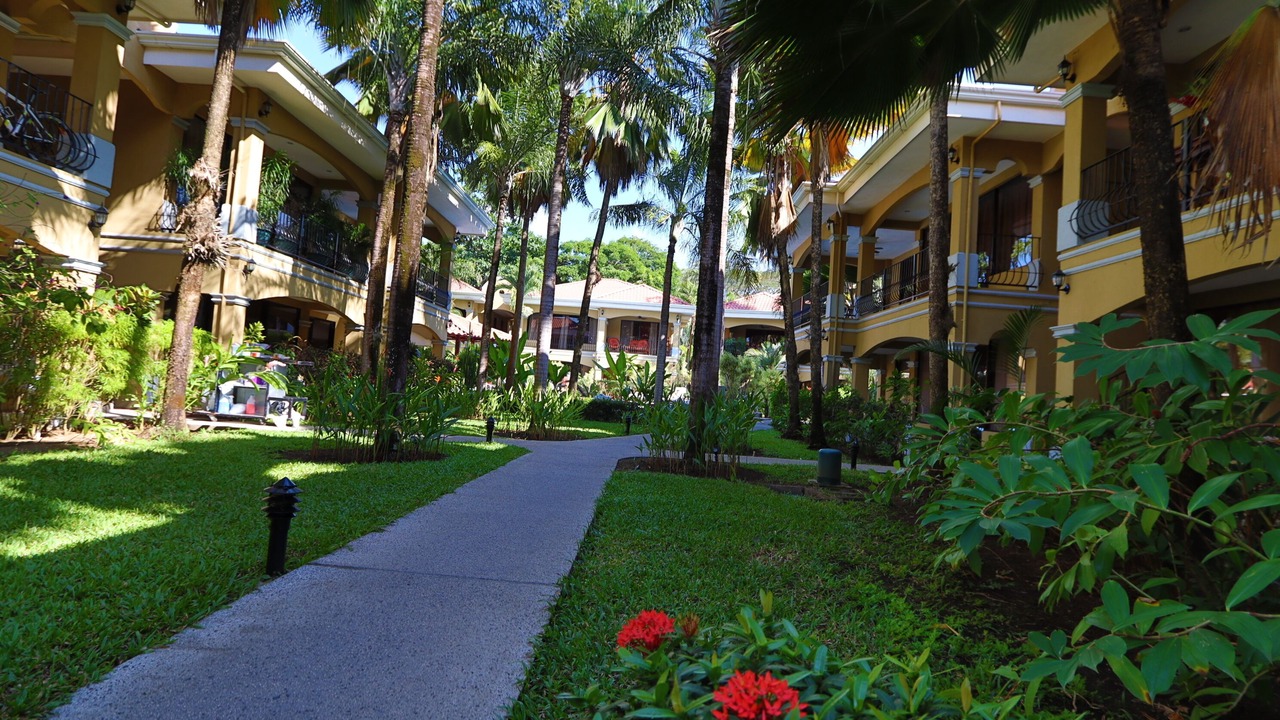 Photo of Others in Jaco