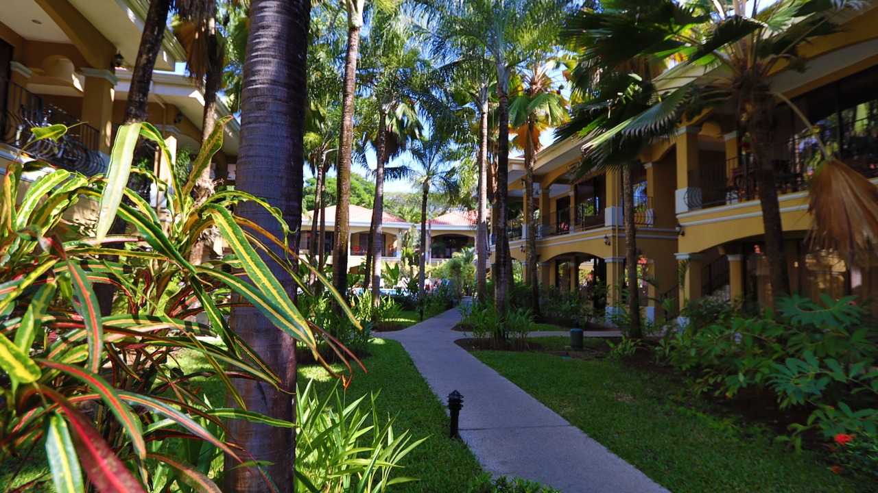 Photo of Others in Jaco