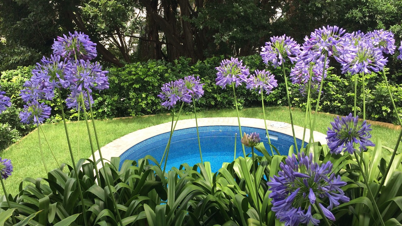 Photo of Outdoor in Auchenflower