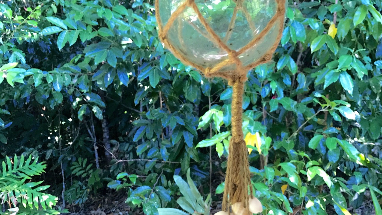 Photo of Outdoor in Cow Bay