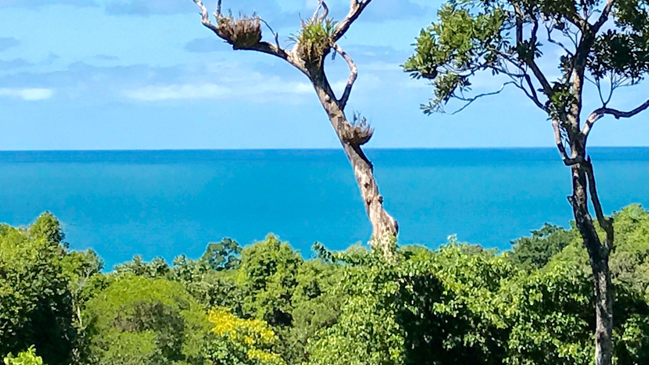 Photo of Others in Cow Bay