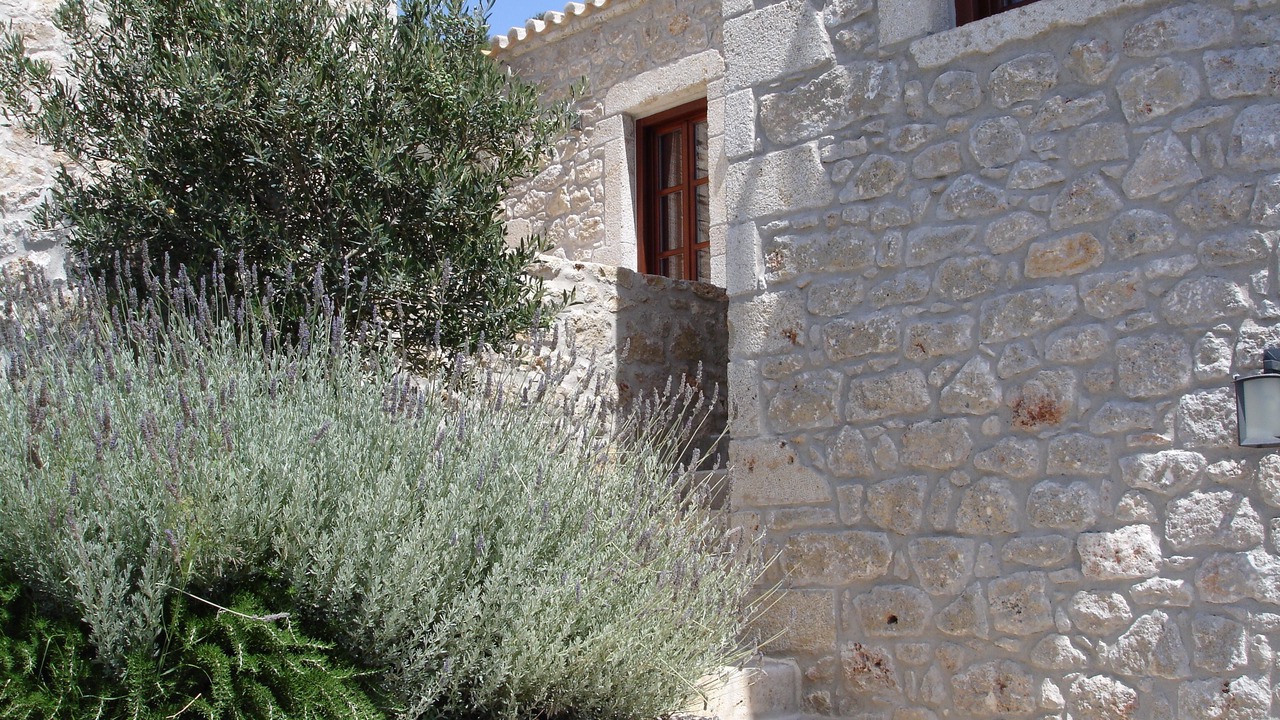 Photo of Outdoor in Itilo