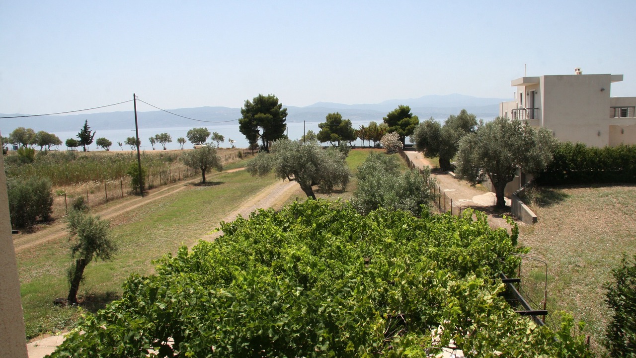 Photo of Outdoor in Amarinthos