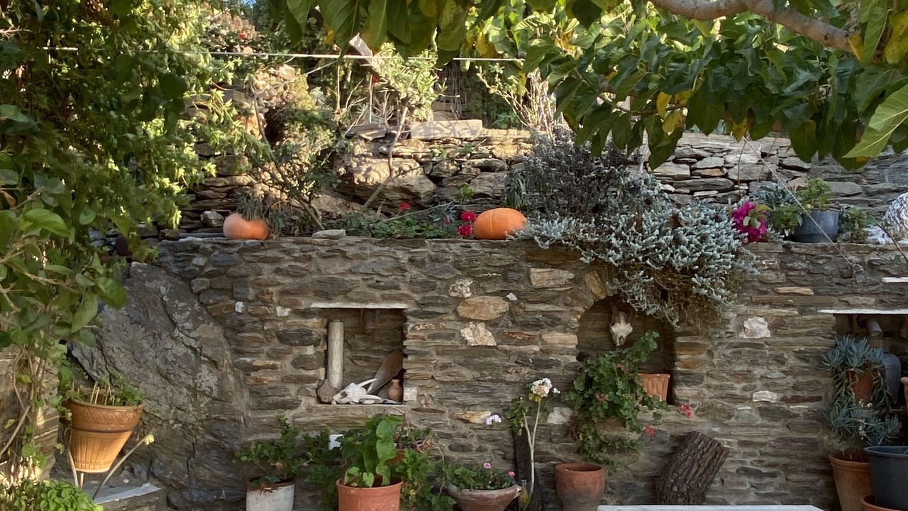 Photo of Others in Andros