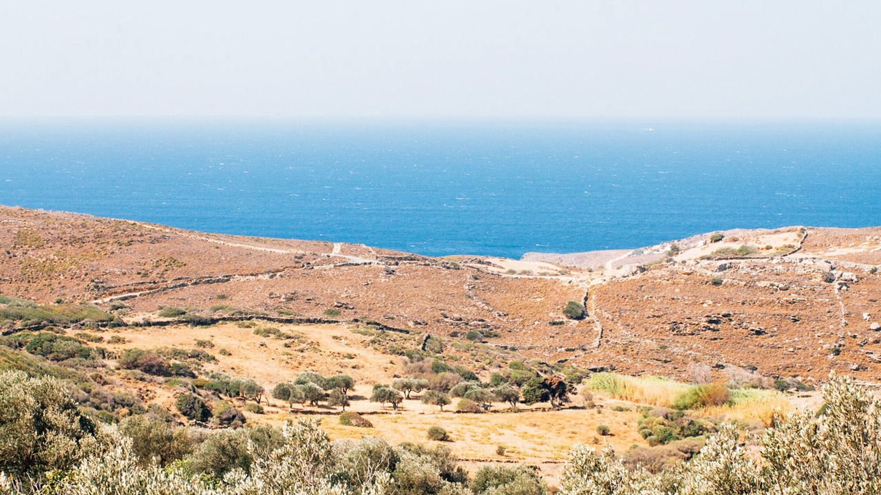 Photo of Others in Andros