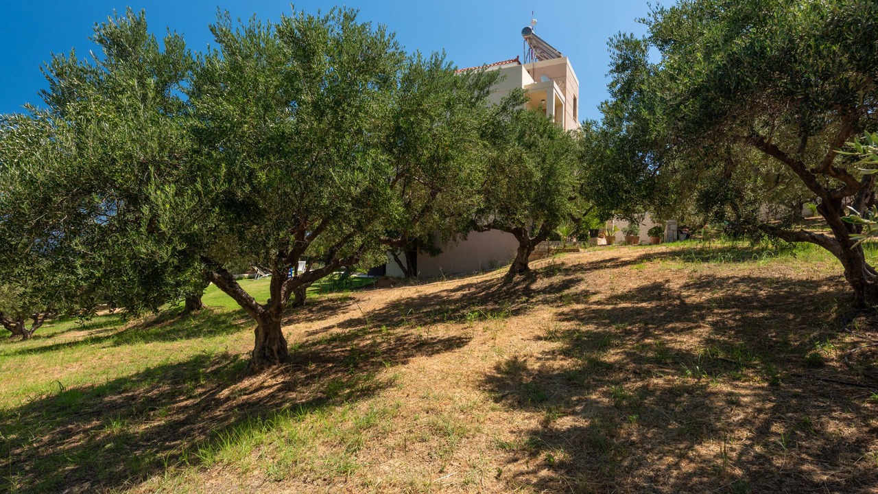 Photo of Outdoor in Stalos