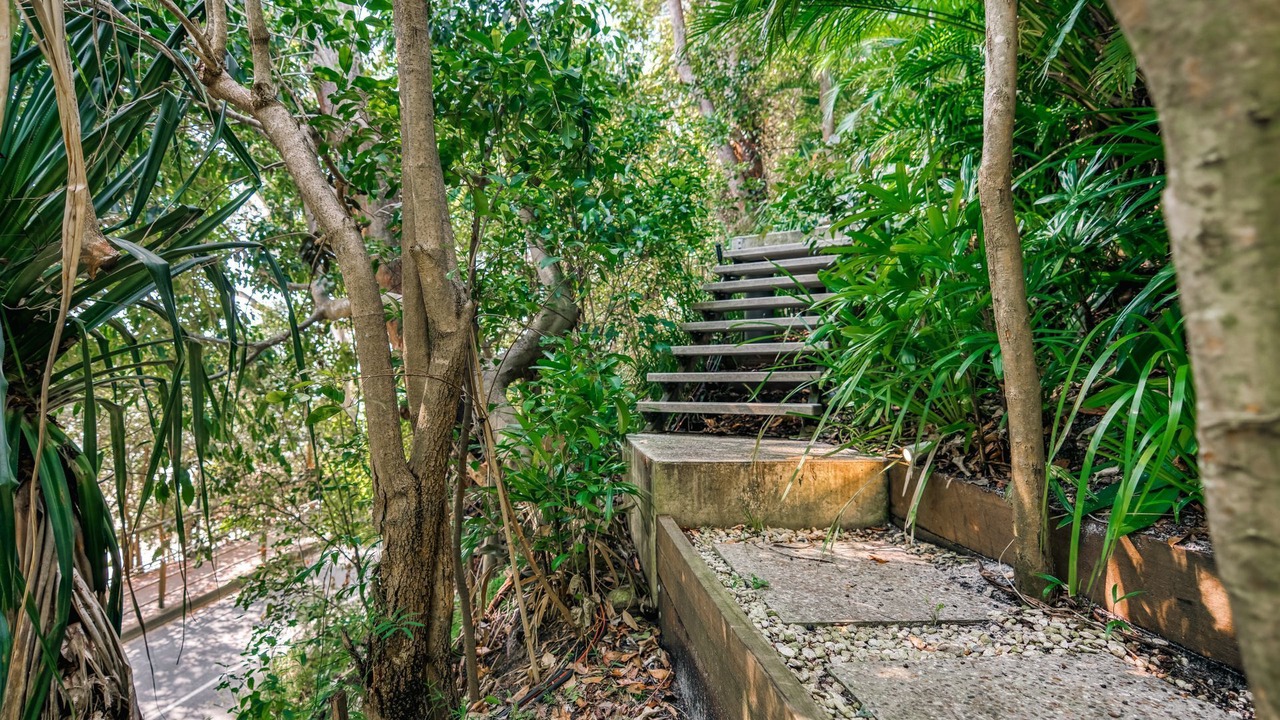 Photo of Outdoor in Noosa Heads