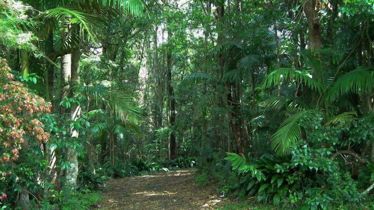 Photo of Outdoor in Mount Tamborine
