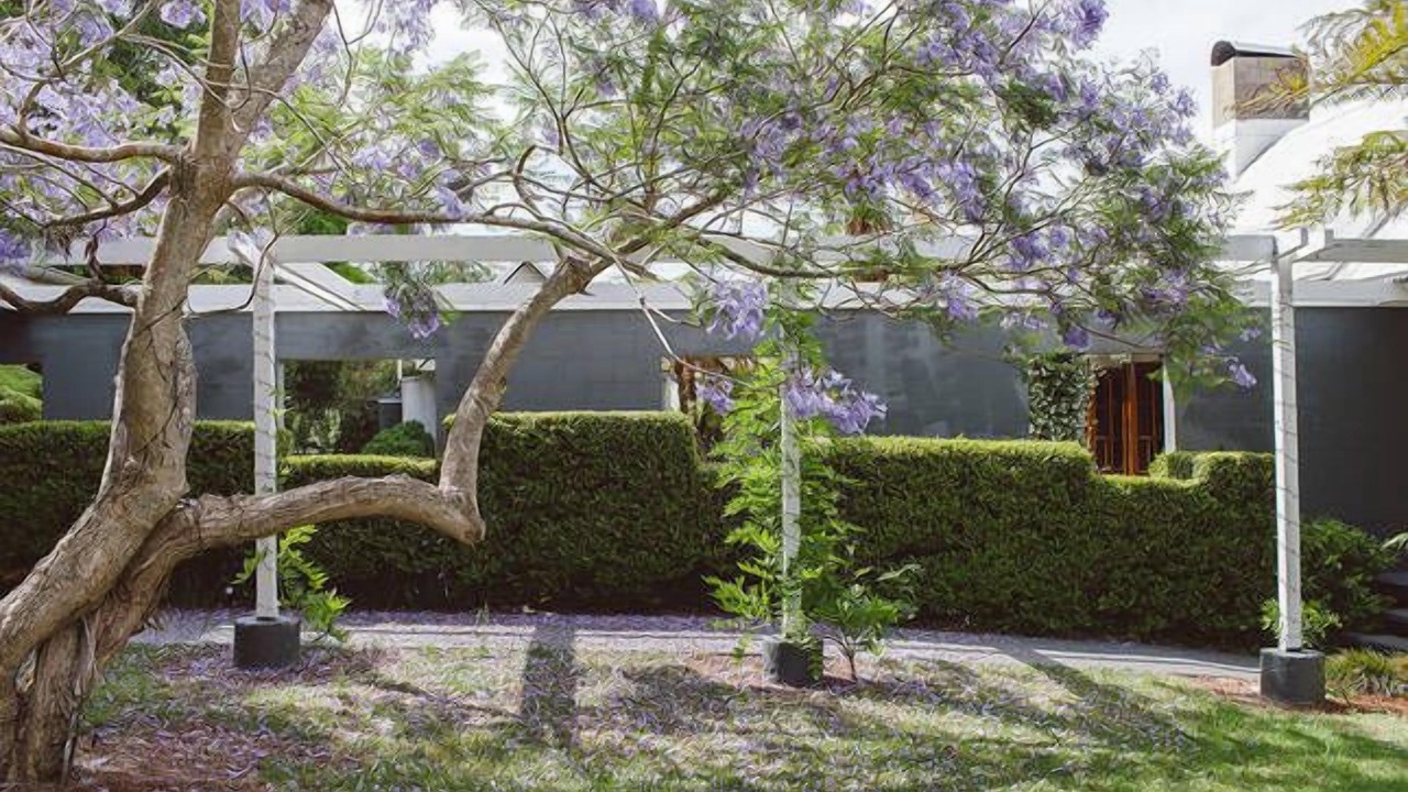 Photo of Outdoor in Mount Tamborine