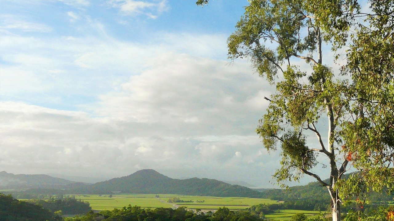 Photo of Outdoor in Shannonvale