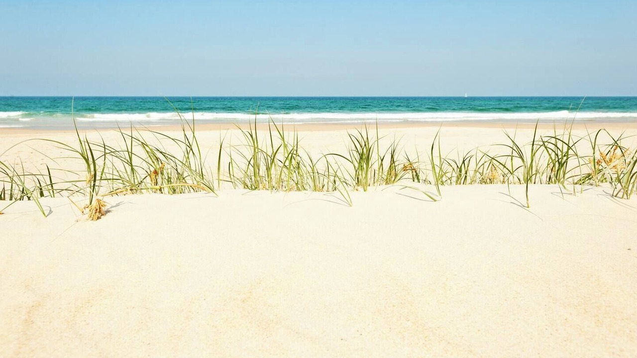 Photo of Others in Castaways Beach