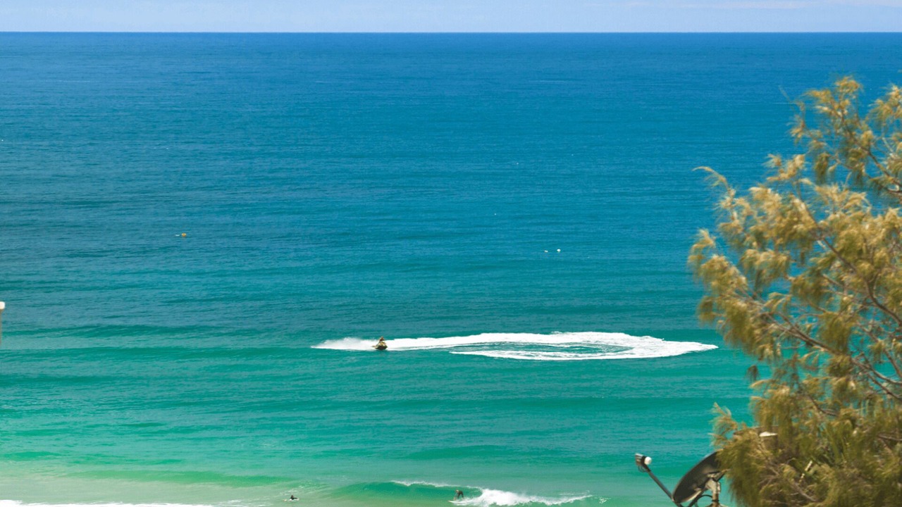 Photo of Others in Sunshine Beach