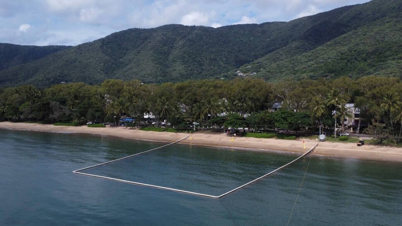 Photo of Others in Palm Cove