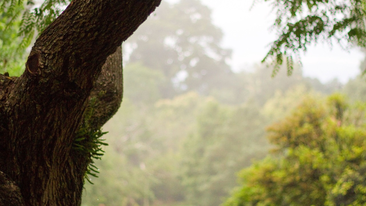 Photo of Outdoor in England Creek