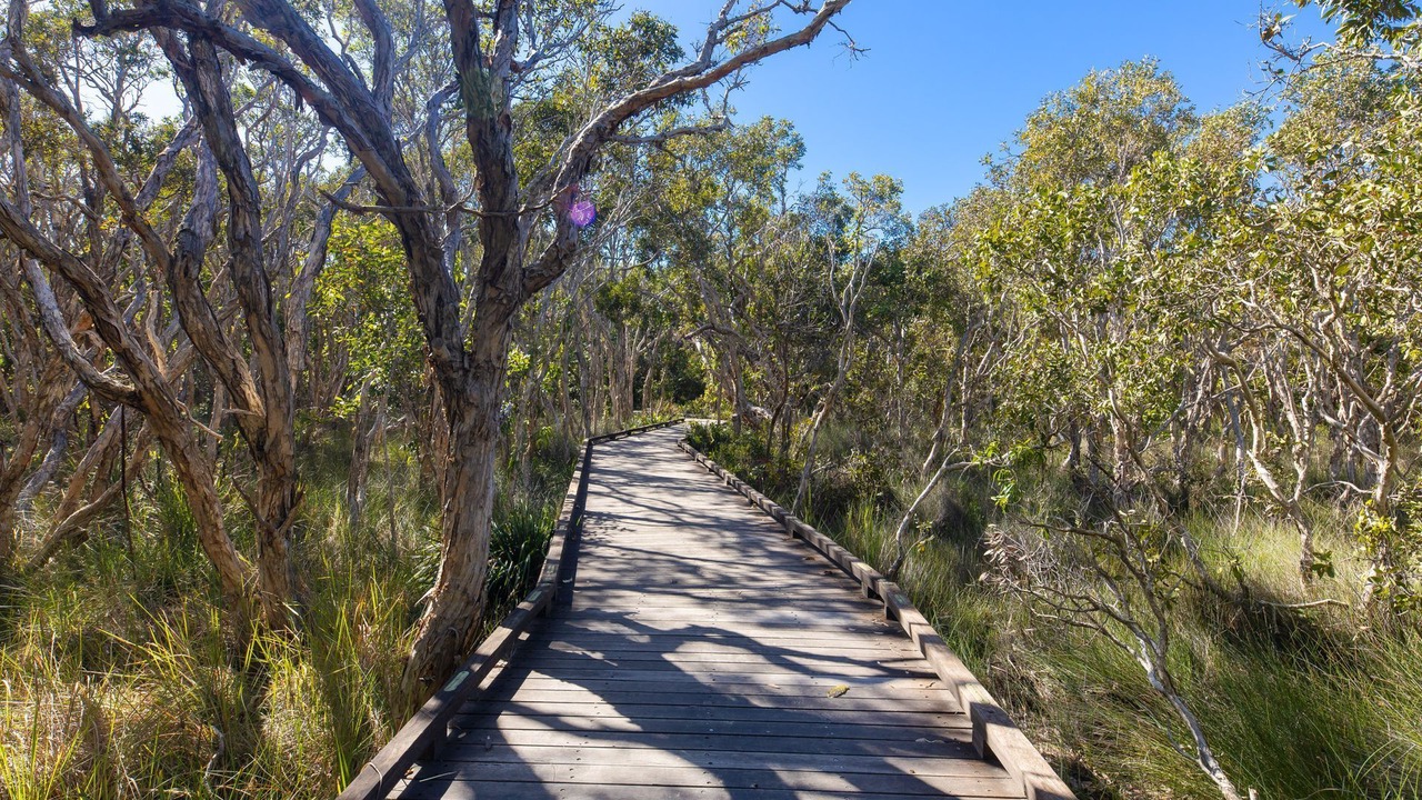 Photo of Outdoor in Mount Coolum