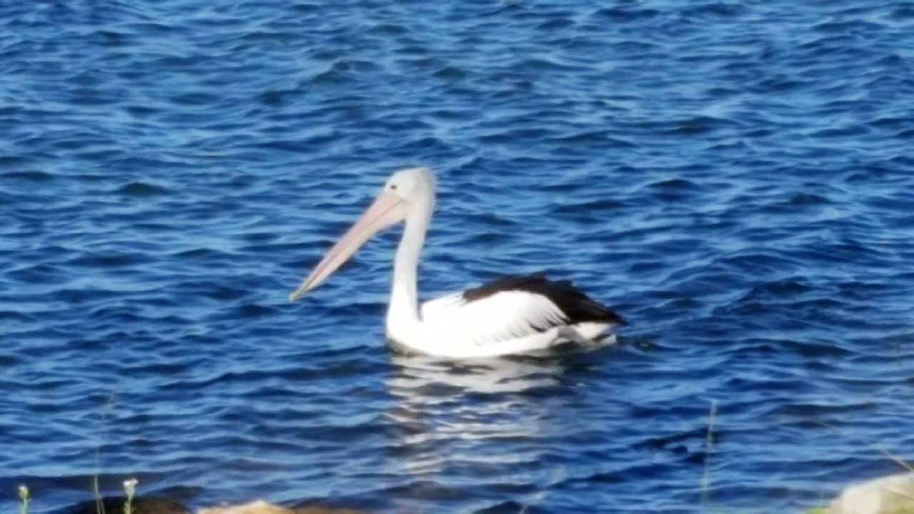Photo of Others in Golden Beach