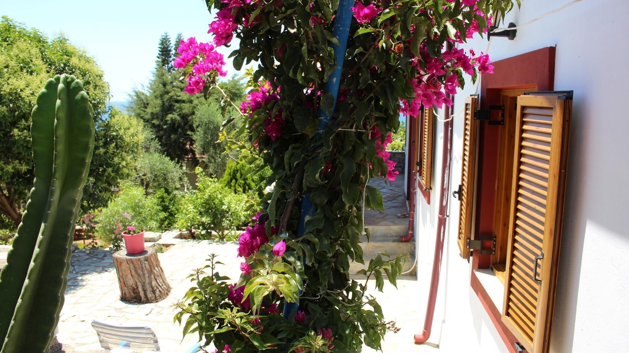 Photo of Outdoor in Aloizianika