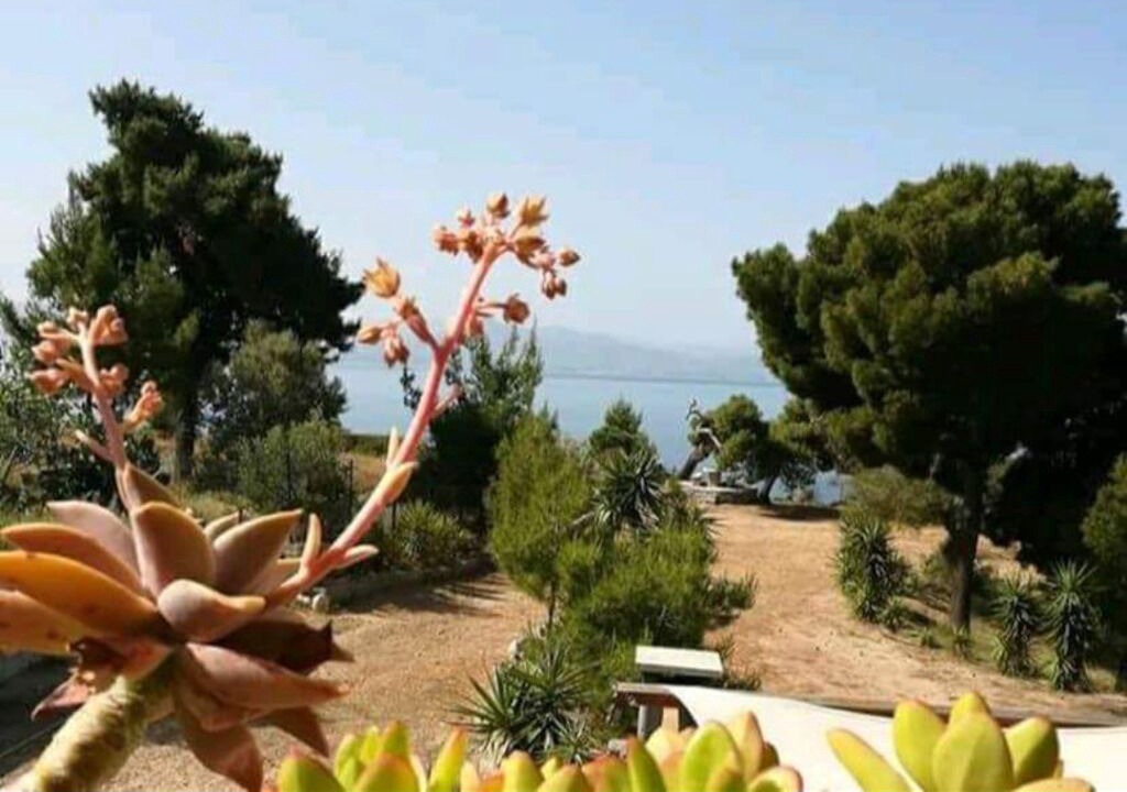 Photo of Outdoor in Skaloma