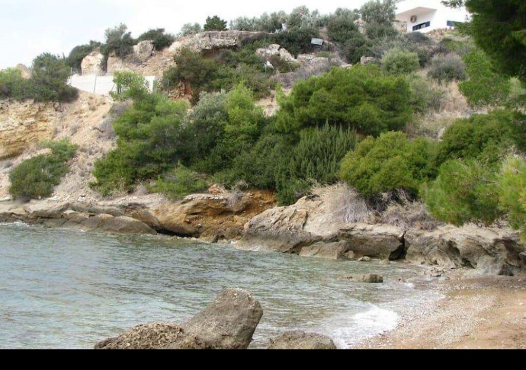 Photo of Others in Skaloma