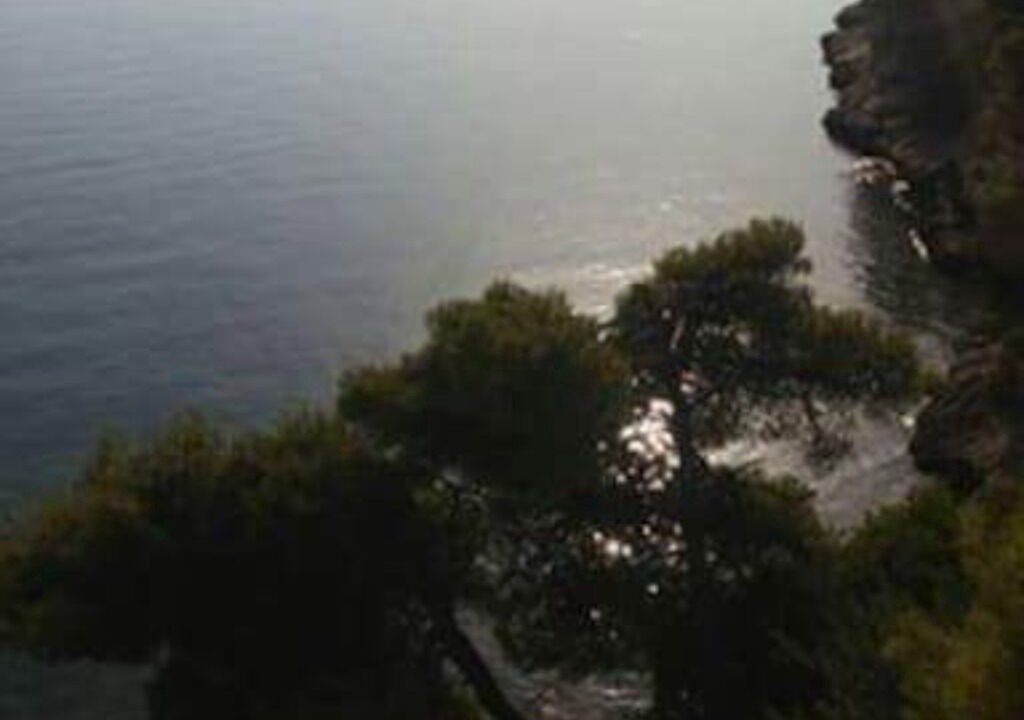 Photo of Others in Skaloma