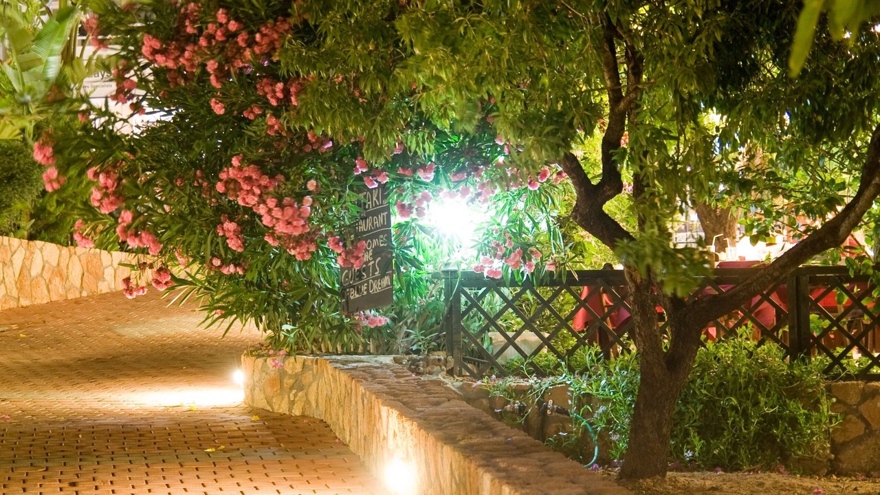 Photo of Outdoor in Pefkos