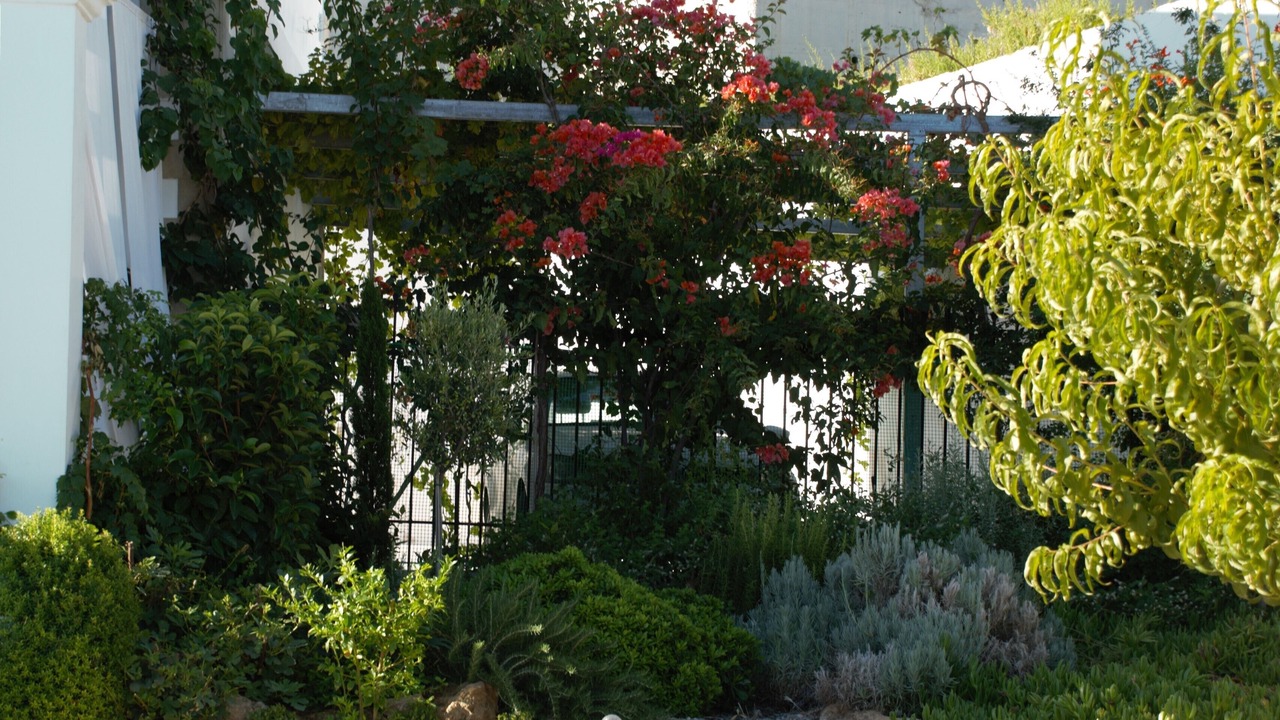 Photo of Outdoor in Vlicha