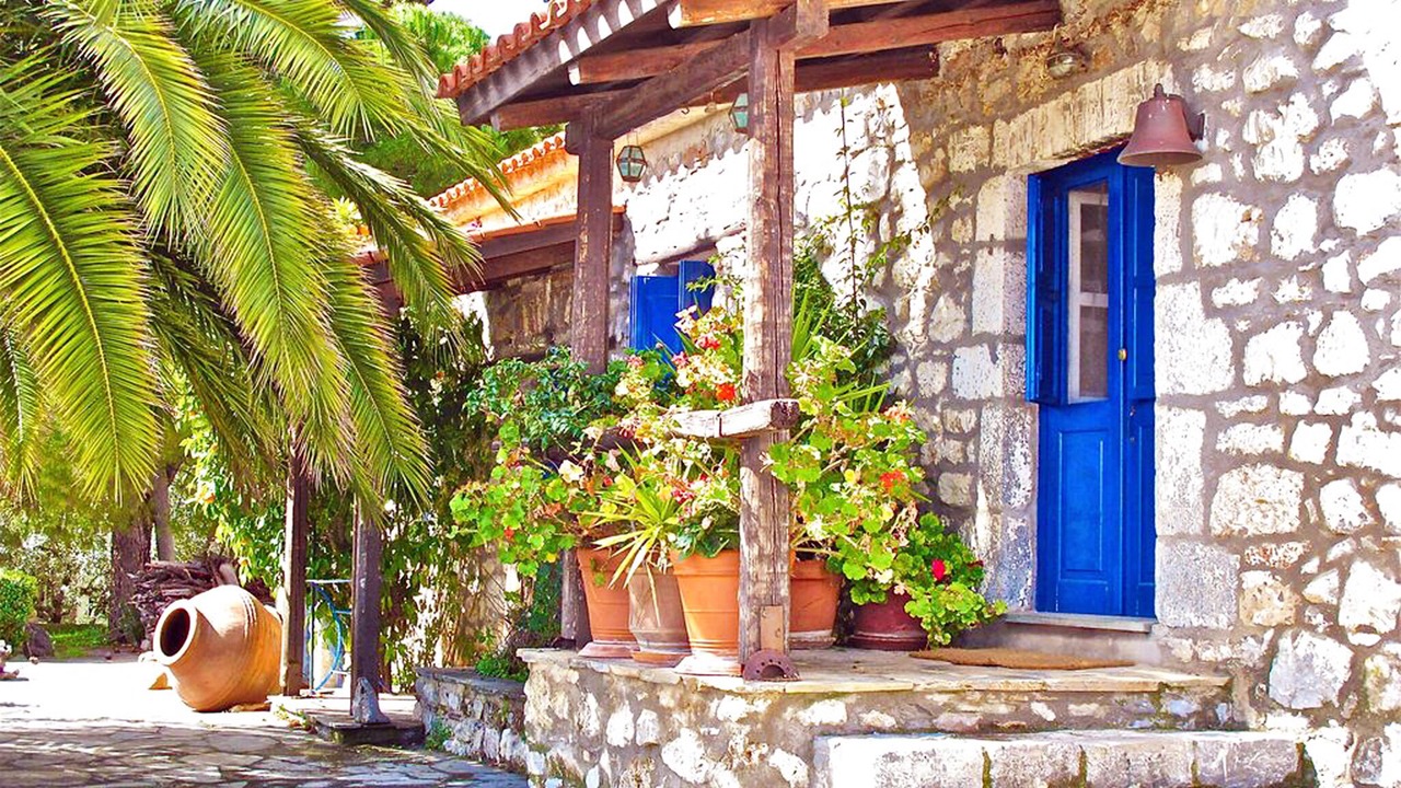 Photo of Outdoor in Stylida