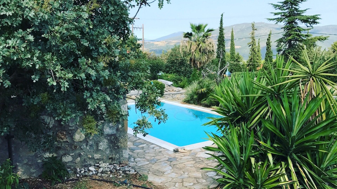 Photo of Outdoor in Stylida