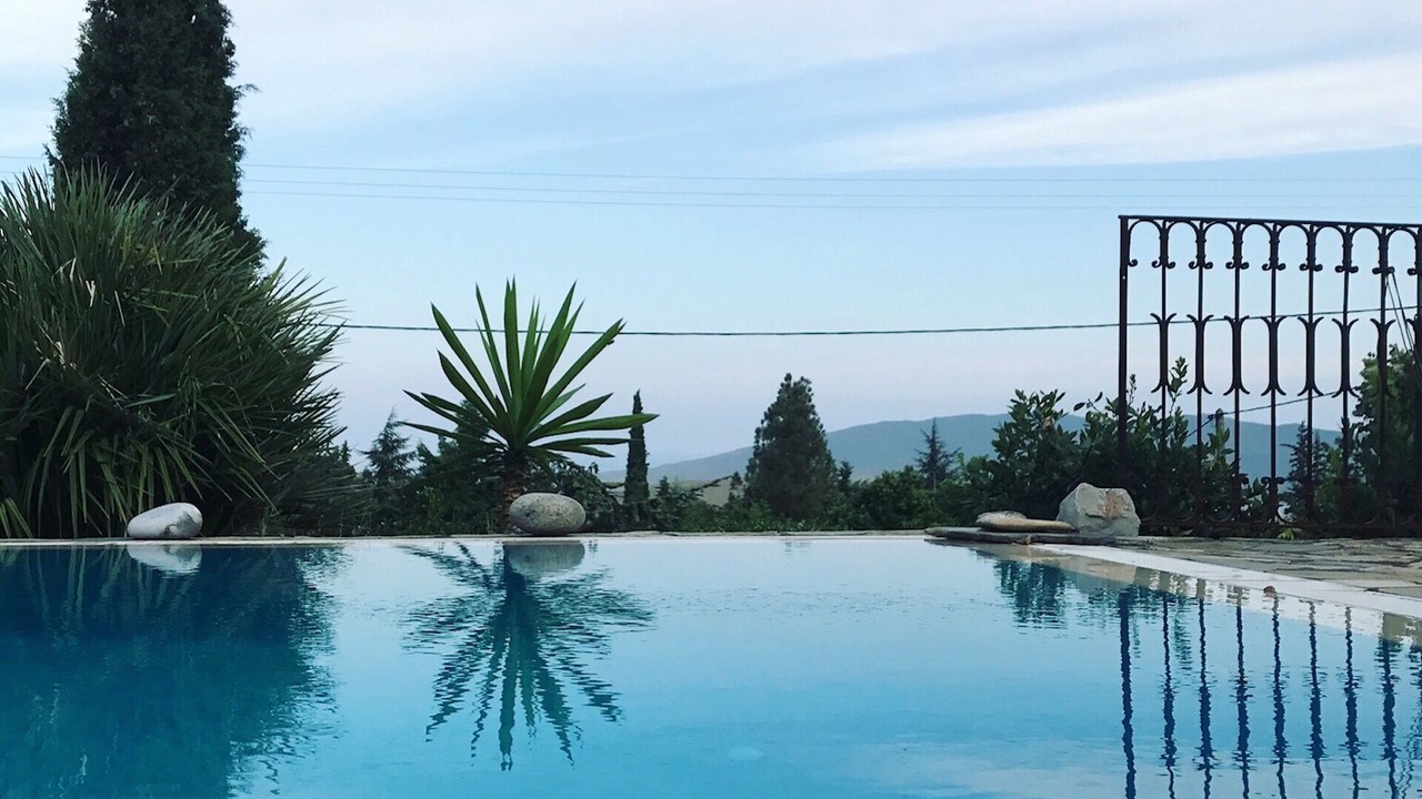 Photo of Outdoor in Stylida