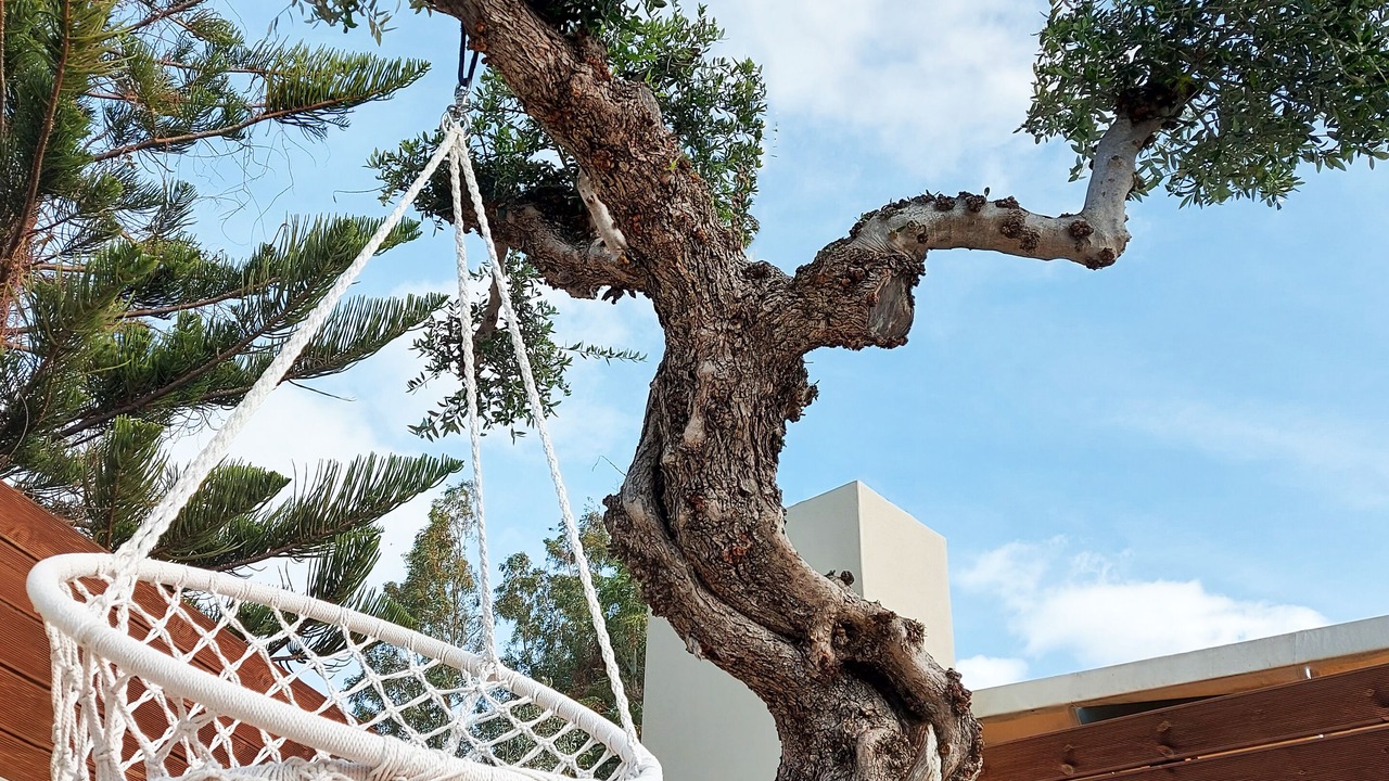 Photo of Outdoor in Neromilos