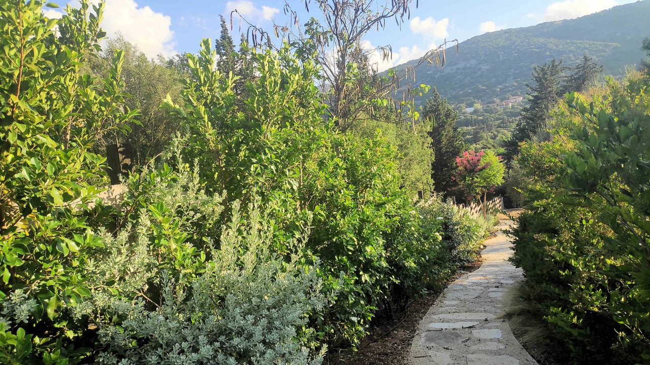 Photo of Outdoor in Logarata