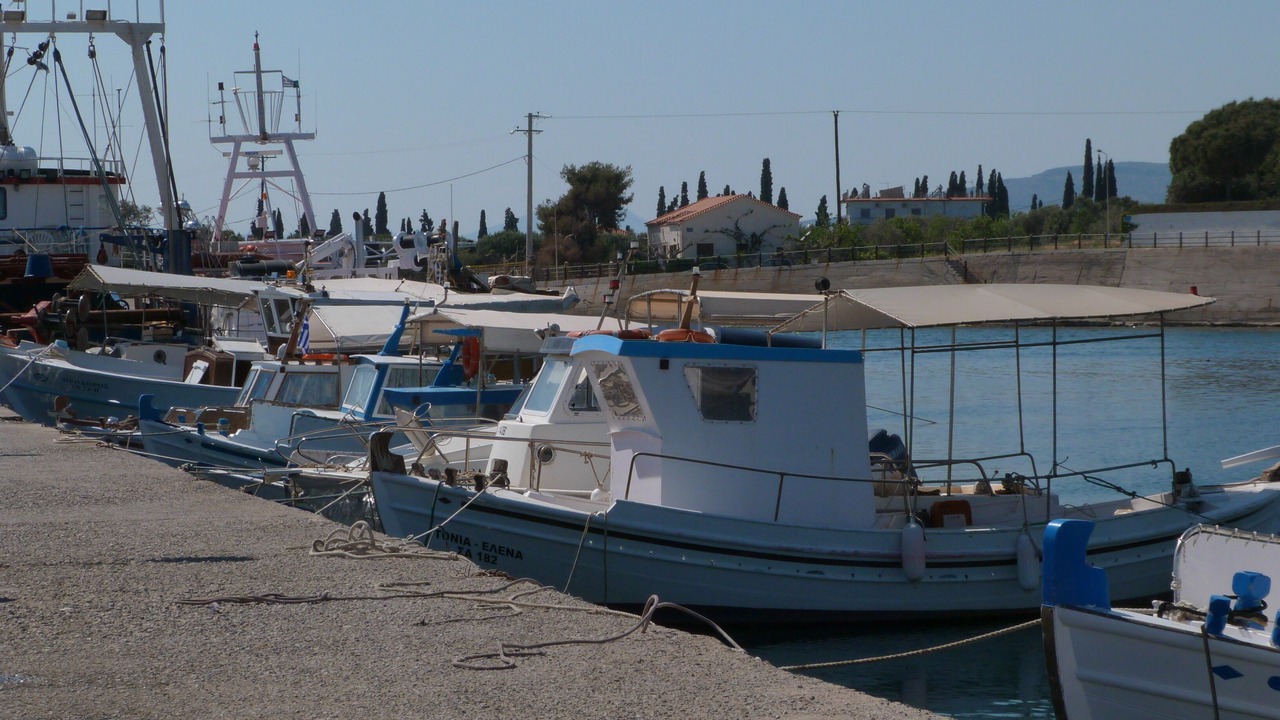 Photo of Others in Amarinthos