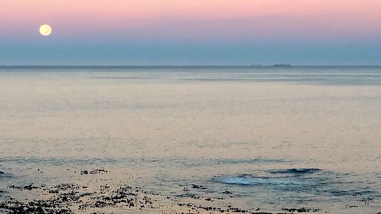 Photo of Others in Sea Point
